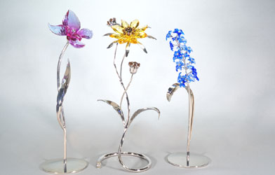 Tropical Flowers and Butterflies